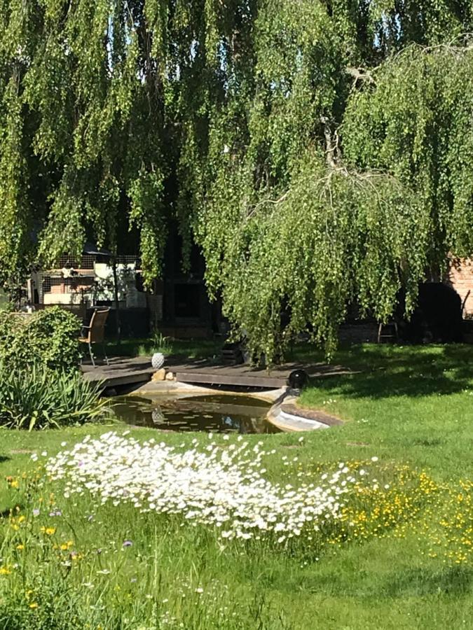 Donautaler Wohlfuehloase Daire Gundelfingen an der Donau Dış mekan fotoğraf